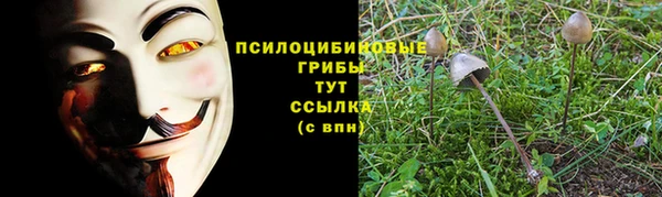 соль ск Киреевск